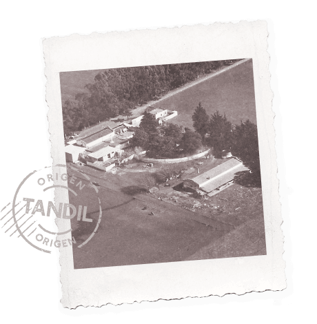 Imagen PLANTA ELABORADORA