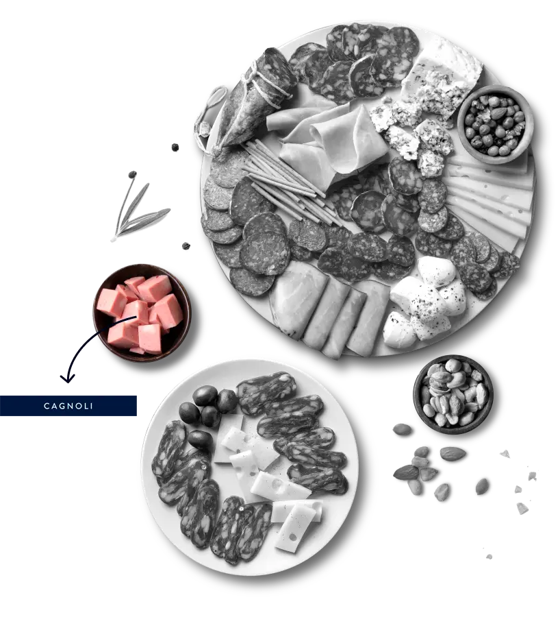 Foto de familia de productos